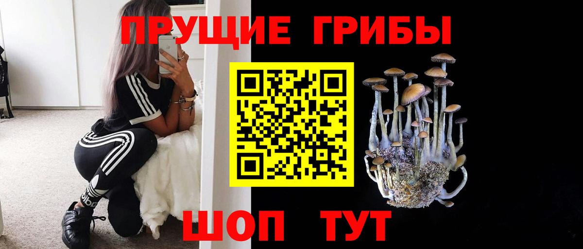 Галлюциногенные грибы Psilocybine cubensis Сатка