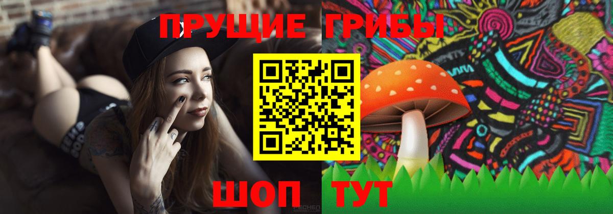 Сатка  Галлюциногенные грибы Psilocybe  Галлюциногенные грибы MAGIC MUSHROOMS  Вход с VPN 